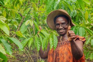 The Agriculture Development Challenges in Nigeria
