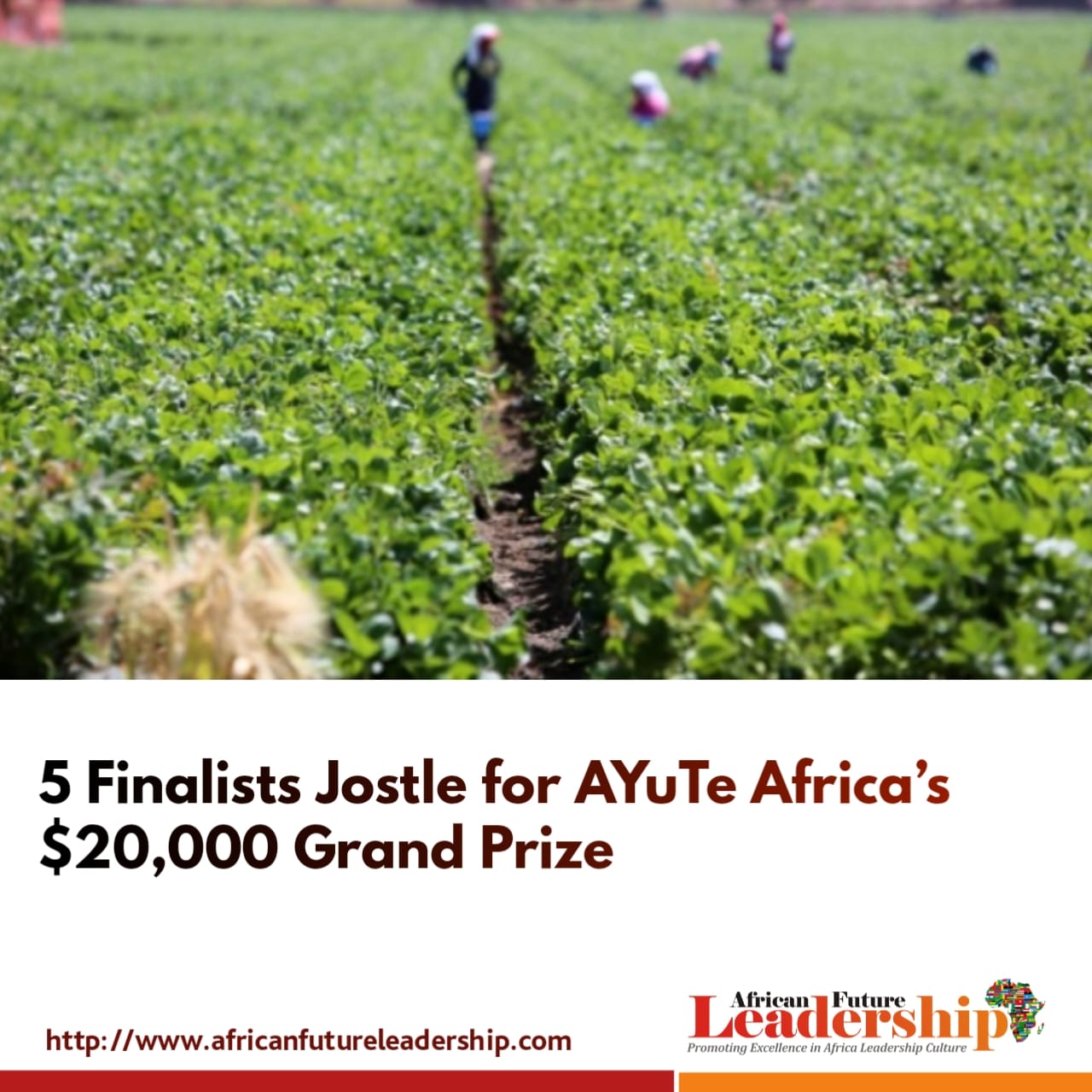 5 Finalists Jostle for AYuTe Africa’s $20,000 Grand Prize