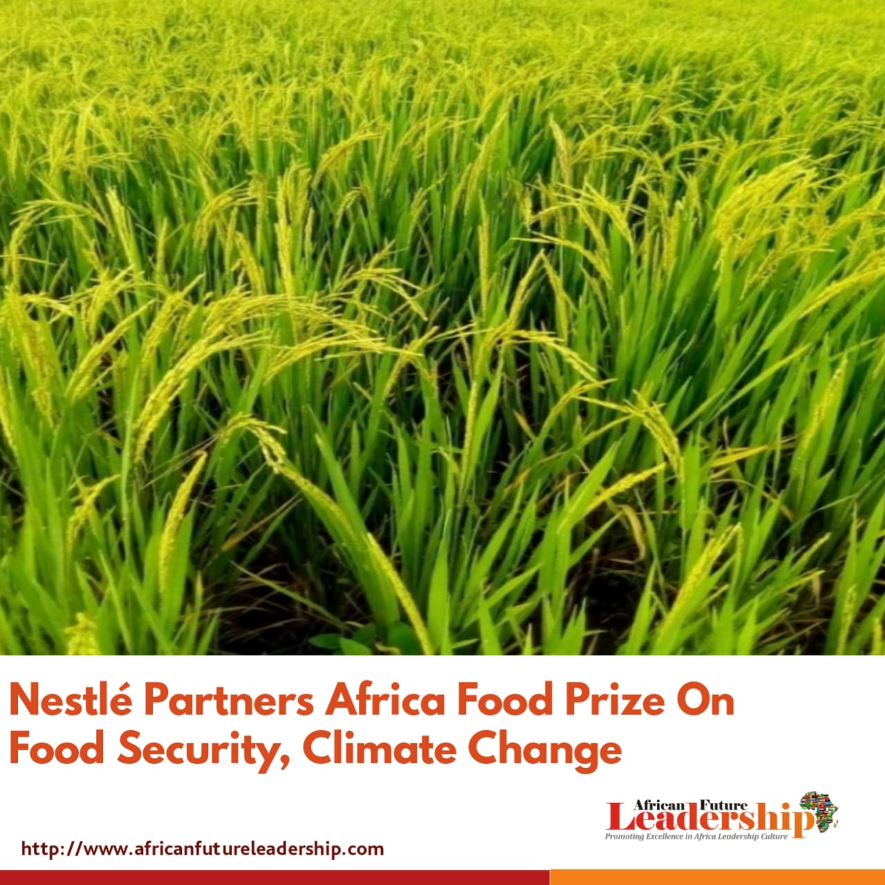 Nestlé Partners Africa Food Prize On Food Security, Climate Change