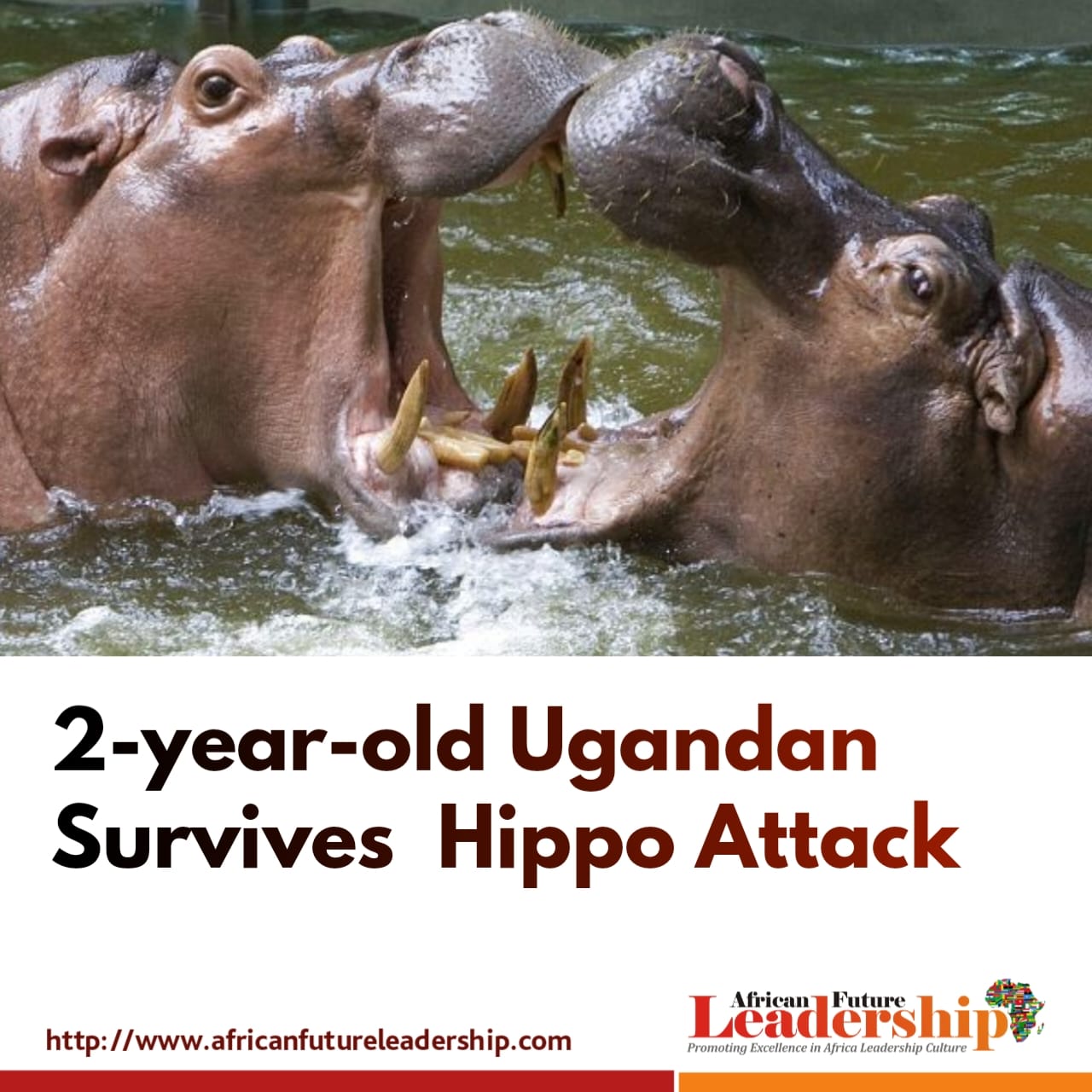 2-year-old Ugandan Survives Hippo Attack