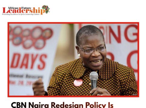 CBN Naira Redesign Policy Is Used By Federal Gov't To Go After Criminals - Oby Ezekwesili