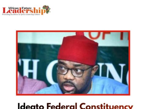 Ideato Federal Constituency Election, Ugochinyere Declare Winner