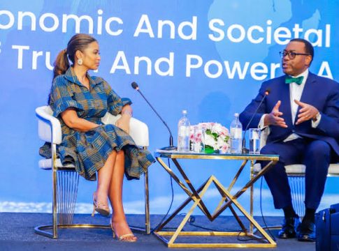 Africa's Positive Progress Deserves Global Recognition, Says AfDB President