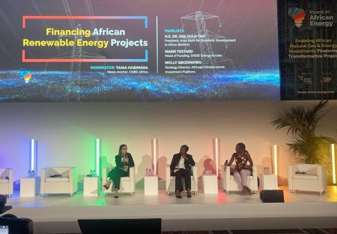 Panelists Emphasize the Urgency of Renewable Energy Investment in Africa, Requires $277B Annually.