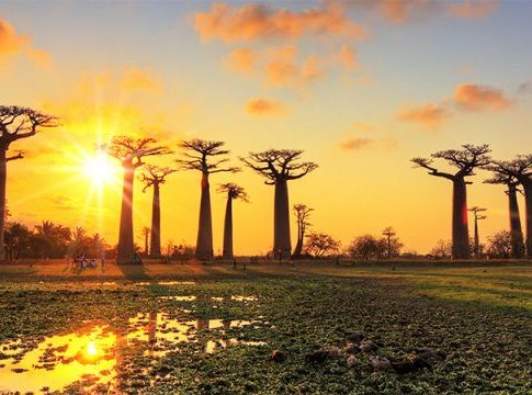 Top 10 African Havens of Peace Amidst Global Conflict Surge