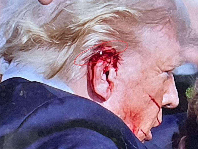 Donald Trump Survives Assassination Attempt