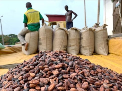 Ghana's Cocoa Traders Lose $1 Billion Due To Nation's Failure To Deliver Cocoa Beans