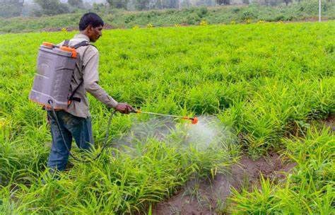 Manner House Agribusiness School Holds Training on Post-Harvest Agricultural Products