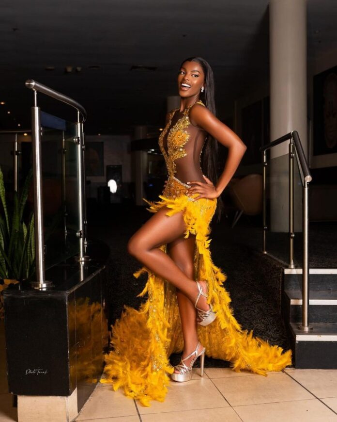 Chidimma Adetshina Narrates Journey To Miss Universe Nigeria