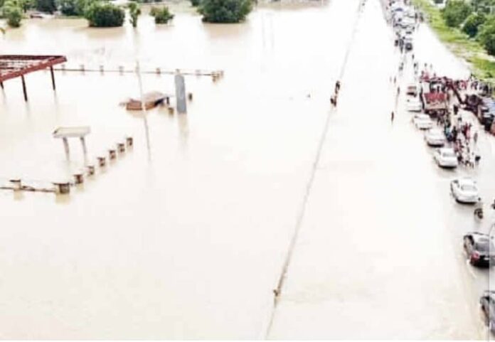 Flood Destroys Farm Lands In Gombe, Yobe