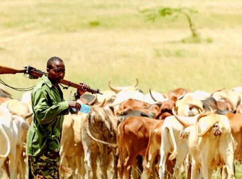 Clash Between Farmers and Herders in FCT Leaves 5 Children, 4 Farmers Injured - Miyetti Allah Cattle