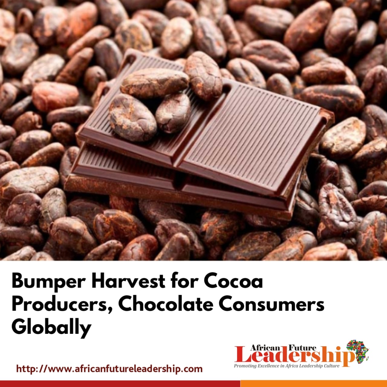 Bumper Harvest for Cocoa Producers, Chocolate Consumers Globally