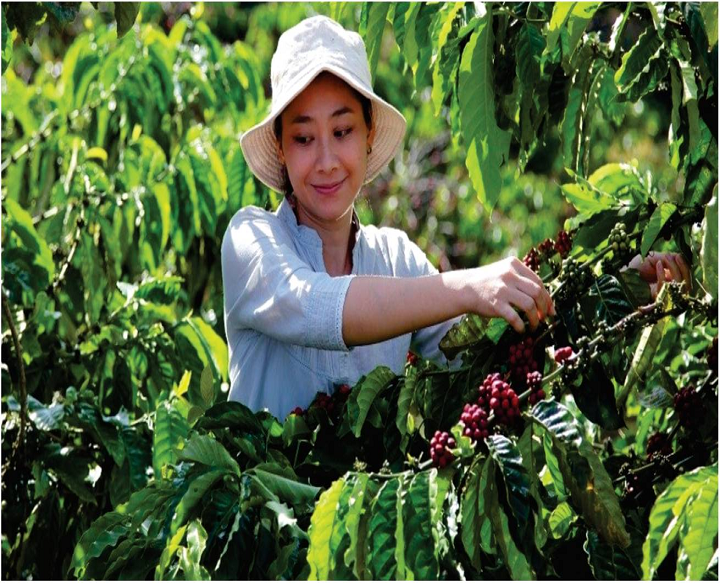 Nestle Launches Nescafe Plan 2030 to Drive Regenerative Agriculture