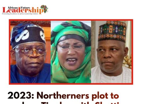 2023 - Northerners plot to replace Tinubu with Shettima - Naja'atu Mohammed says