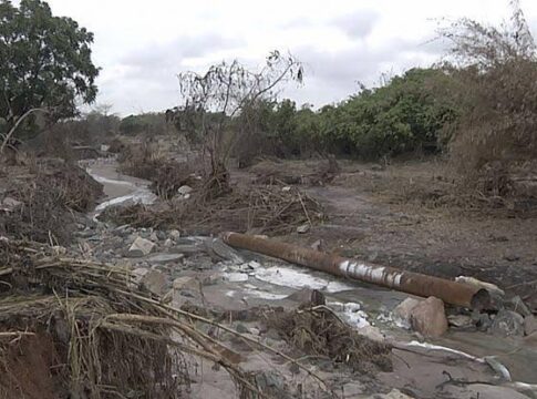 Zambia’s Kafue River Faces Ecological Crisis After Acid Spill